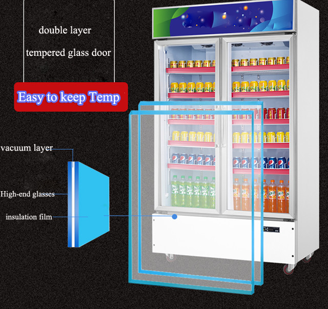 Arsenbo Practical Commercial Beverage Refrigerator With 2 Glass Door