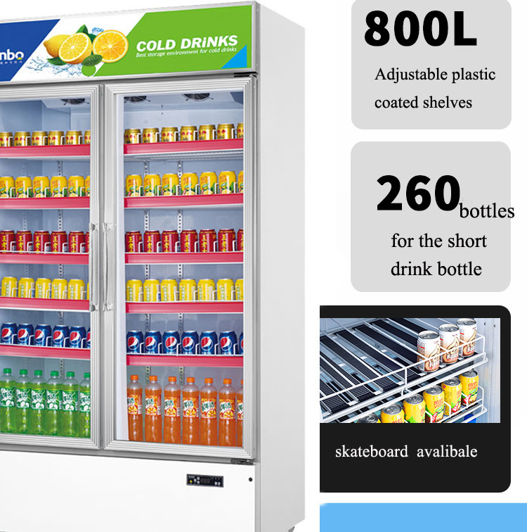 Arsenbo Practical Commercial Beverage Refrigerator With 2 Glass Door
